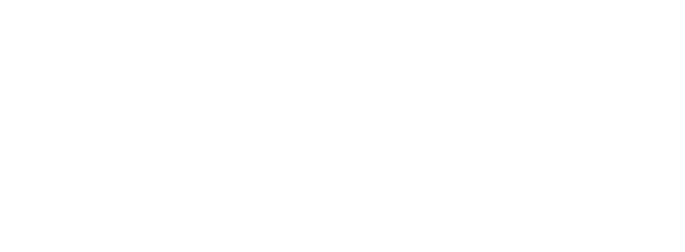Bishvili Innovation Group Inc. logo white