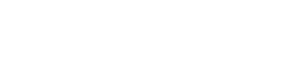 Logo von Schanzer Marketing mit einem stilisierten Blattmotiv und dem Firmennamen in Schwarz auf grünem Hintergrund.