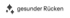 Drei dunkle, rautenförmige Formen und der Text "gesunder Rücken" auf grünem Hintergrund.