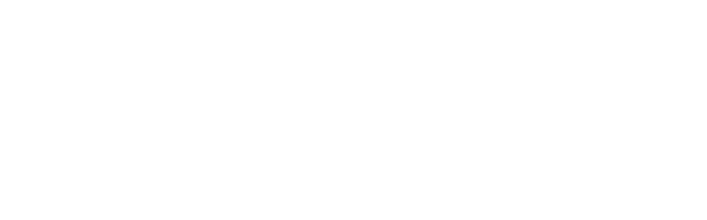 SOCIALMEDIAKAMPAGNE.DE®-Logo in Weiß auf grünem Hintergrund.