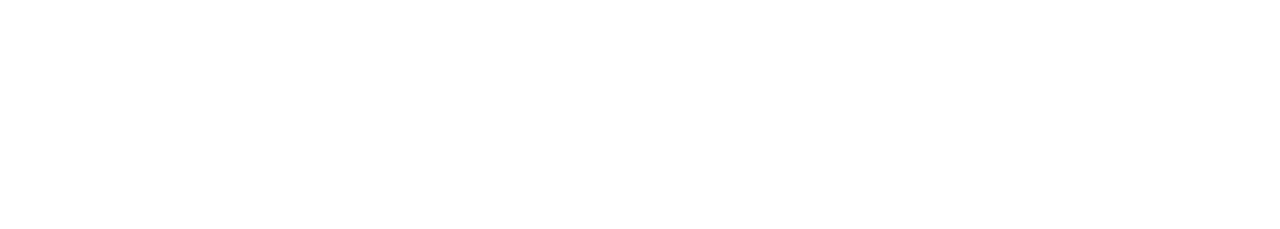 BW Baumeisterei Logo negativ schmal