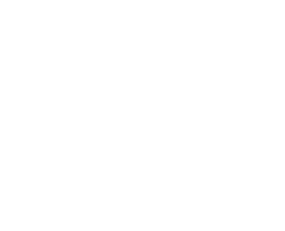 Dr. Michael Stoermer Logo