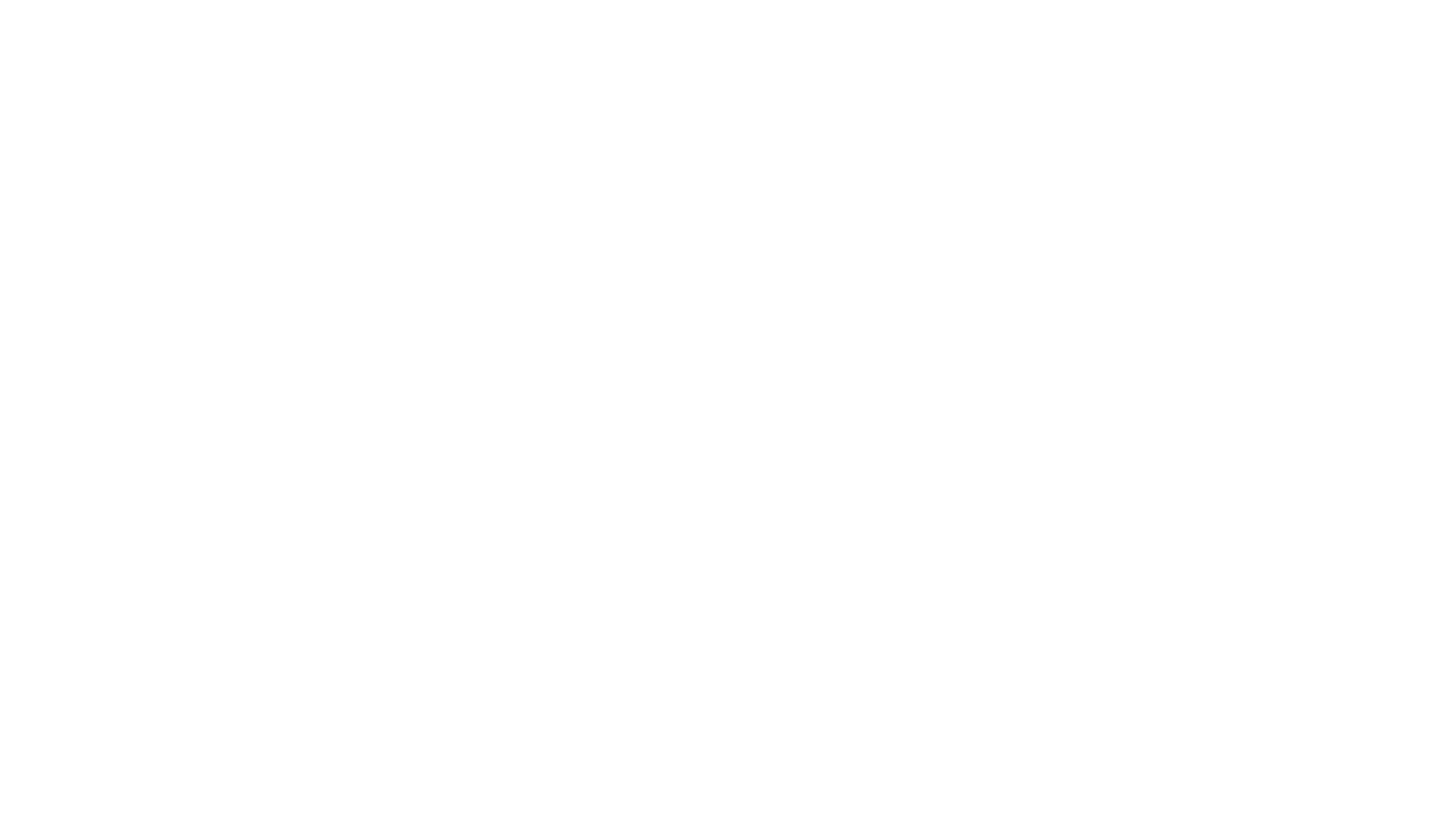 sali-logo-white.png