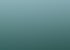 Fog rolling through the dense Jageshwar forest of dark green pine trees under a light blue sky.
