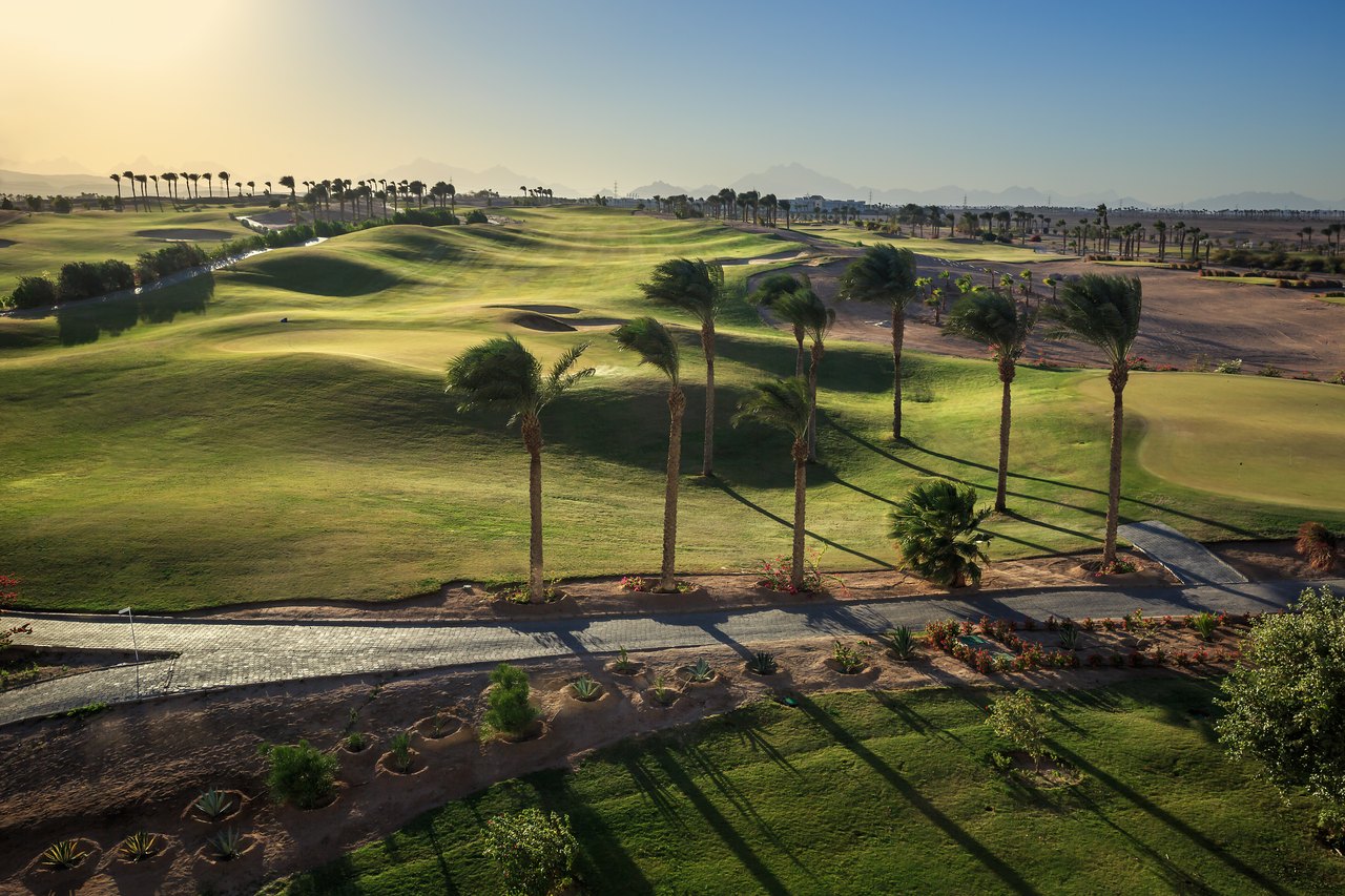 Madinat Makadi Golf – Fairway mit Palmenallee und Bergkulisse