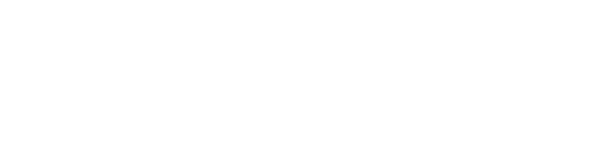 robins hood