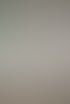 DSC04980.jpg