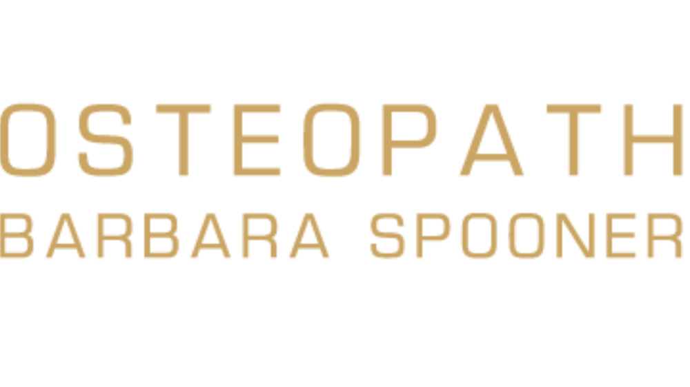 Schriftzug "ECOMCARE CONSULTING" in Silber auf dunkelgrünem Hintergrund mit blauer Linie.