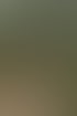 Ein Mann und eine Frau im Rollstuhl halten Händchen auf einem Waldweg zwischen hohen Kiefern.