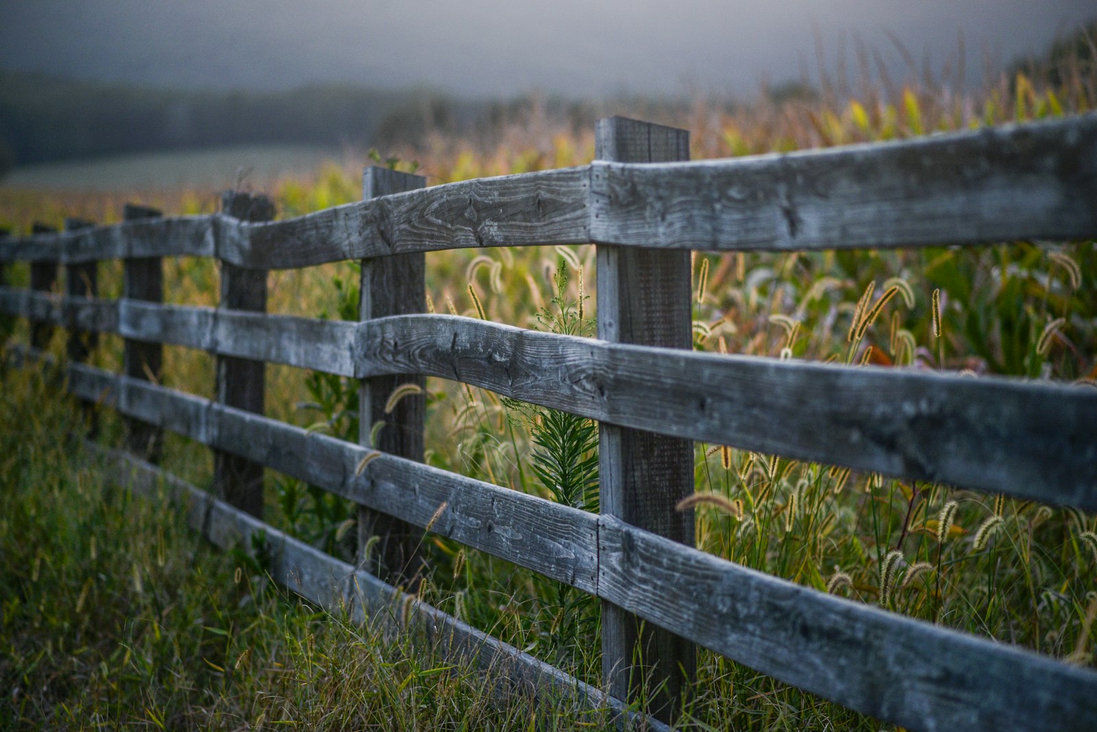 Completed fence line running along the rear boundary of a Howard County property