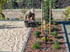 Gartenpflege Braunfels | Basun Haus & Gartenservice