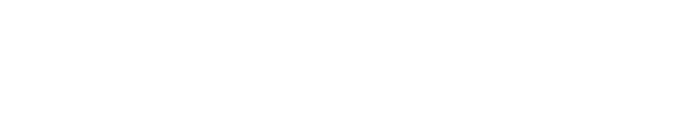 Logo der Papke Consulting in weiß