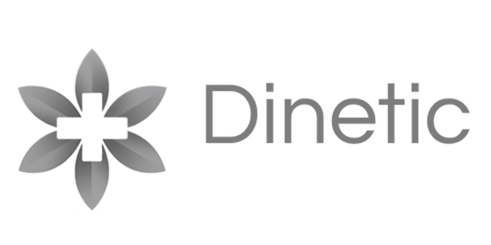 Graues Blumenlogo mit einem Pluszeichen in der Mitte und dem Text "Dinetic" daneben.