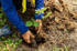 Gartenpflege in Buxtehude | MBA Gartenbau