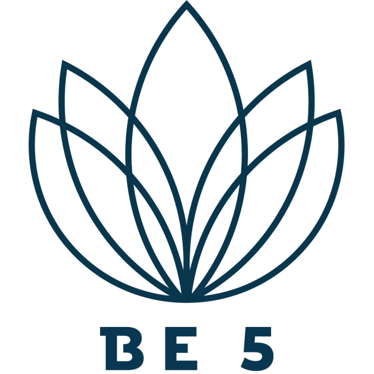 Logo BE5 Physio