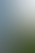 Modernes Gebäude mit großen Fenstern, einer Steintreppe und grüner Vegetation unter blauem Himmel.