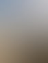 Forstservice Frankfurt (Oder) | Forstservice Winnige