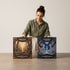 Elite Trainer Boxes