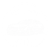 Ein Kreislogo mit „Autohaus“ oben, einem Auto in der Mitte und „ALN“ unten.