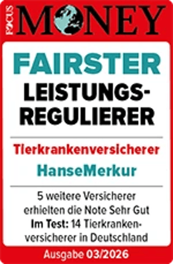 Focus Money: Fairster Leistungsregulierer