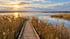 Herbstsonne über dem Federsee mit Holzsteg durch das Schilf