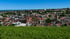 Immobilienmakler in Neustadt an der Weinstraße - Panorama über die Innenstadt