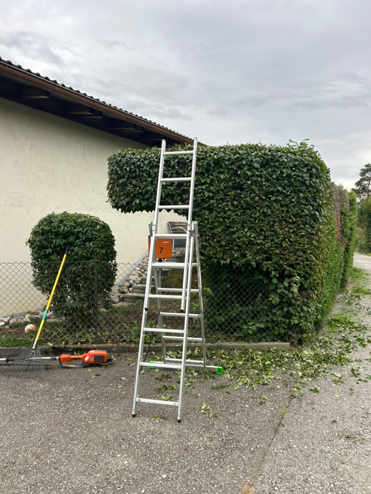 Heckenpflege