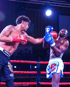 Zwei Boxer in roten und blauen Handschuhen im Ring, einer schlägt den anderen.