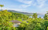 jamaica-reggae-jungle-forest-bay