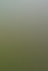 Männer graben Graben im Gras neben Pool aus; roter Karren mit Erde, Häuser im Hintergrund.