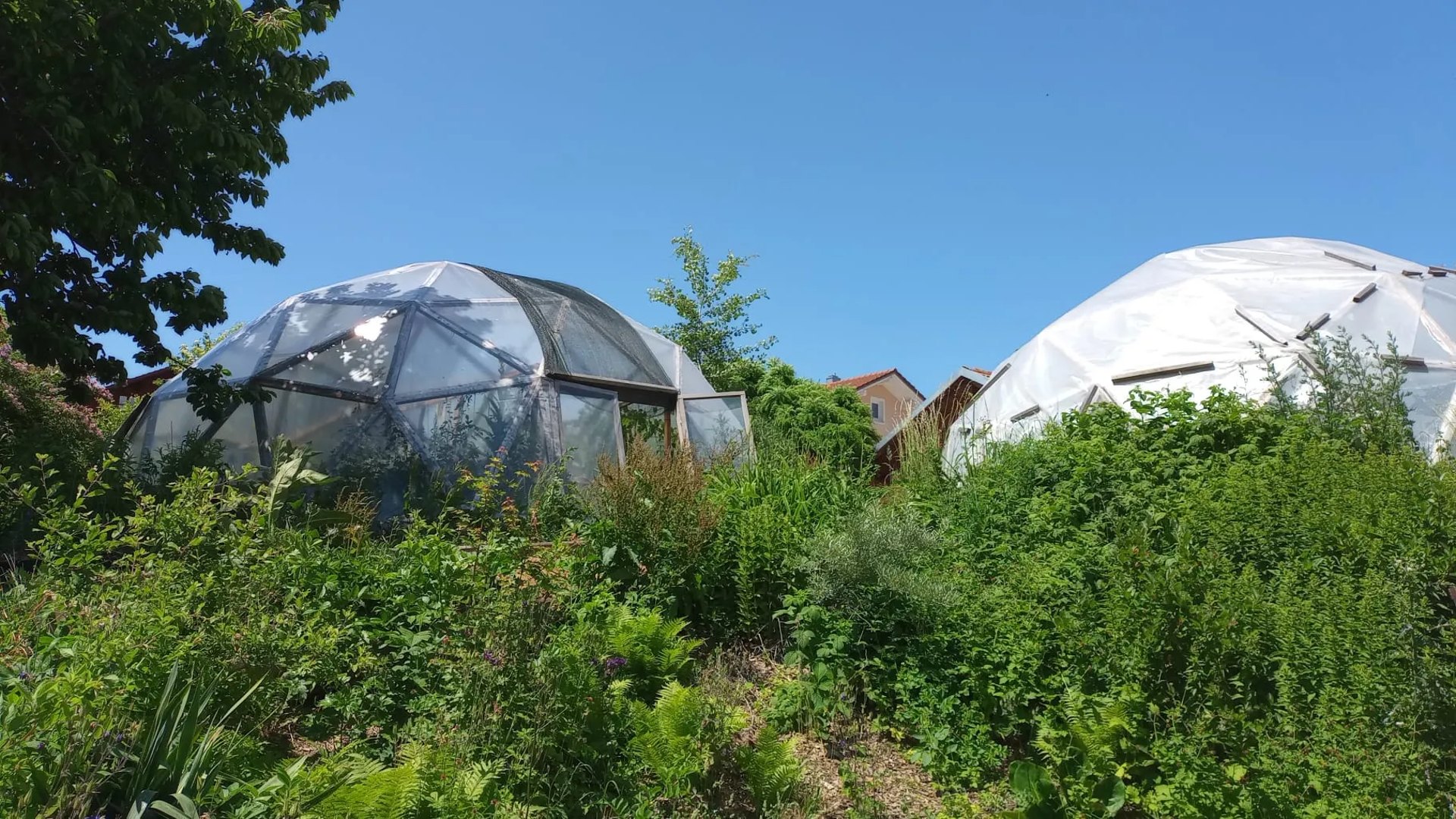 Die Geodome im Süßenbacher Permakultur-Schaugarten von außen