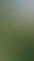 Heckenschnitt in Zürich und Umgebung | Botanica Greiner
