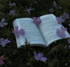 An open book with text on its pages lies on dark green grass, adorned with small purple flowers.