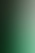 Grüne Tür mit Glasscheibe, auf der "LEA PRAXISGEMEINSCHAFT FÜR HEIL- & KÖRPERARBEIT WWW.PRAXIS-LEA.DE" steht.