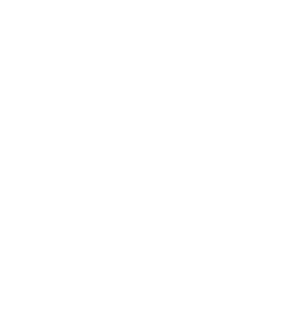 Grünes Logo mit weißem Text: "NIRO", "OFFIZIELLER VIP-PARTNER" mit 5 Sternen, und "Brüggemann".