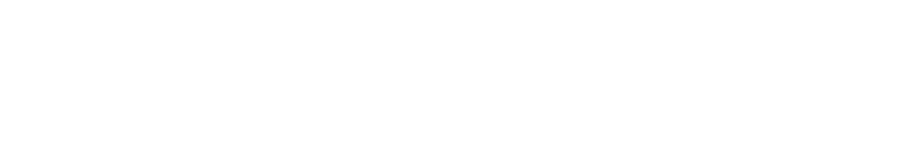Logo von BullScreener.io mit einem stilisierten Stierkopf
