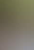 Detailaufnahme vom kunstvoll gebundenen Brautstrauß in den Händen der Braut.