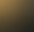 Libusol Logo mit goldener Schrift und schwarzem „LS“-Monogramm auf dunklem Hintergrund.
