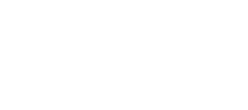 Zebra BI