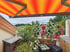 Balkon mit orangefarbener Markise, blühenden Topfpflanzen und Blick auf grüne Bäume unter bewölktem Himmel.