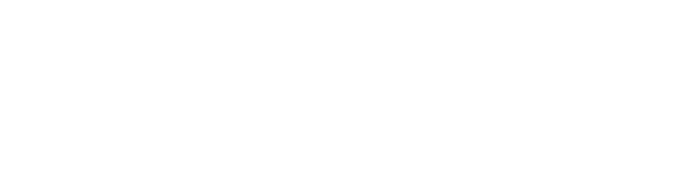 Das Wort "PRIME" in weißen Großbuchstaben auf einem dunkelgrünen Hintergrund, durchkreuzt von einer diagonalen Linie.