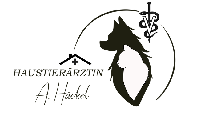 die Haustierärztin