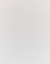 Zeitungsartikel zu entstehungsgeschichte