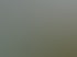 Mann in grüner Jacke füttert Schaf mit Mais aus einer Schaufel; zwei Schafe auf grüner Wiese, Solarpaneele im Hintergrund.