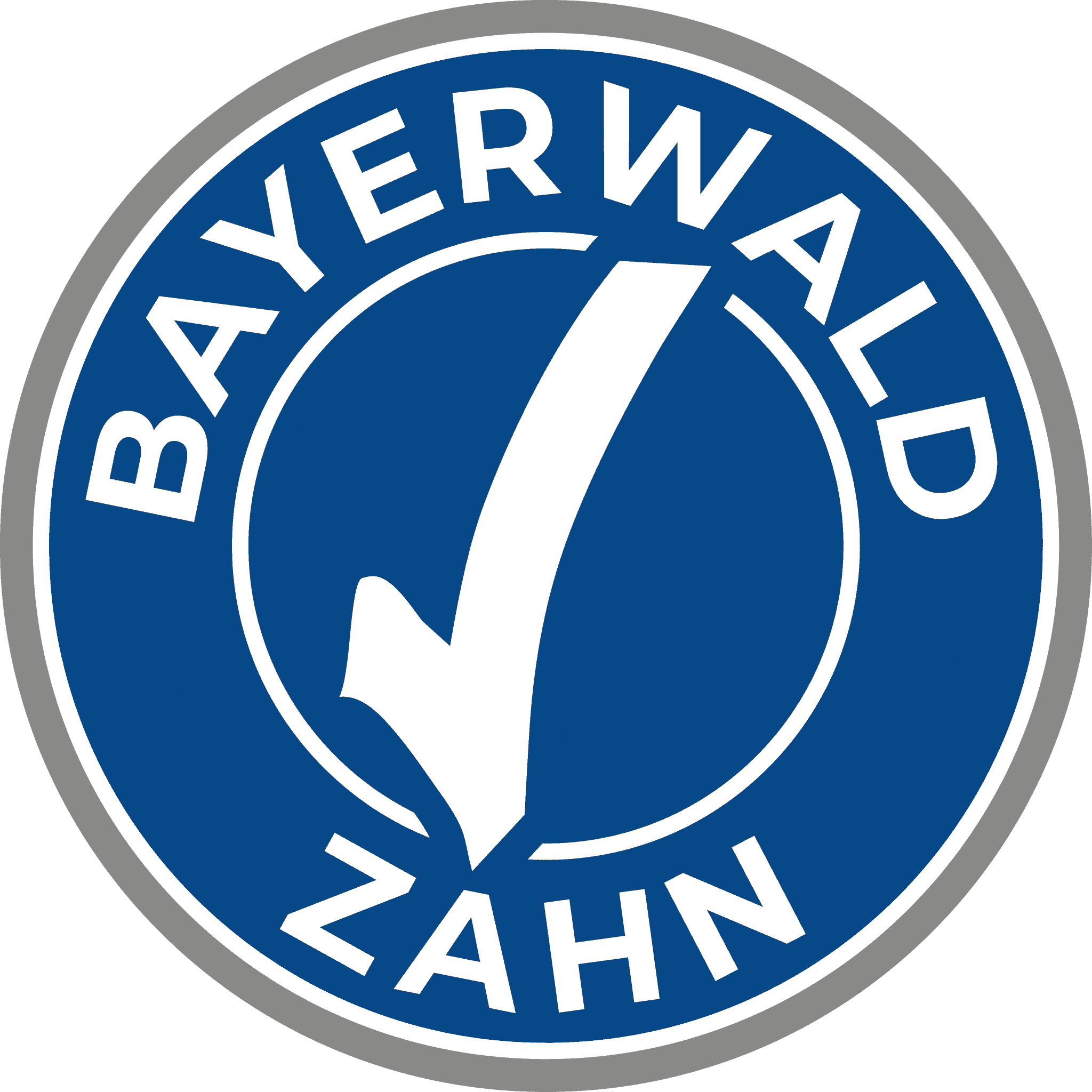 Bayerwaldzahn MVZ GmbH