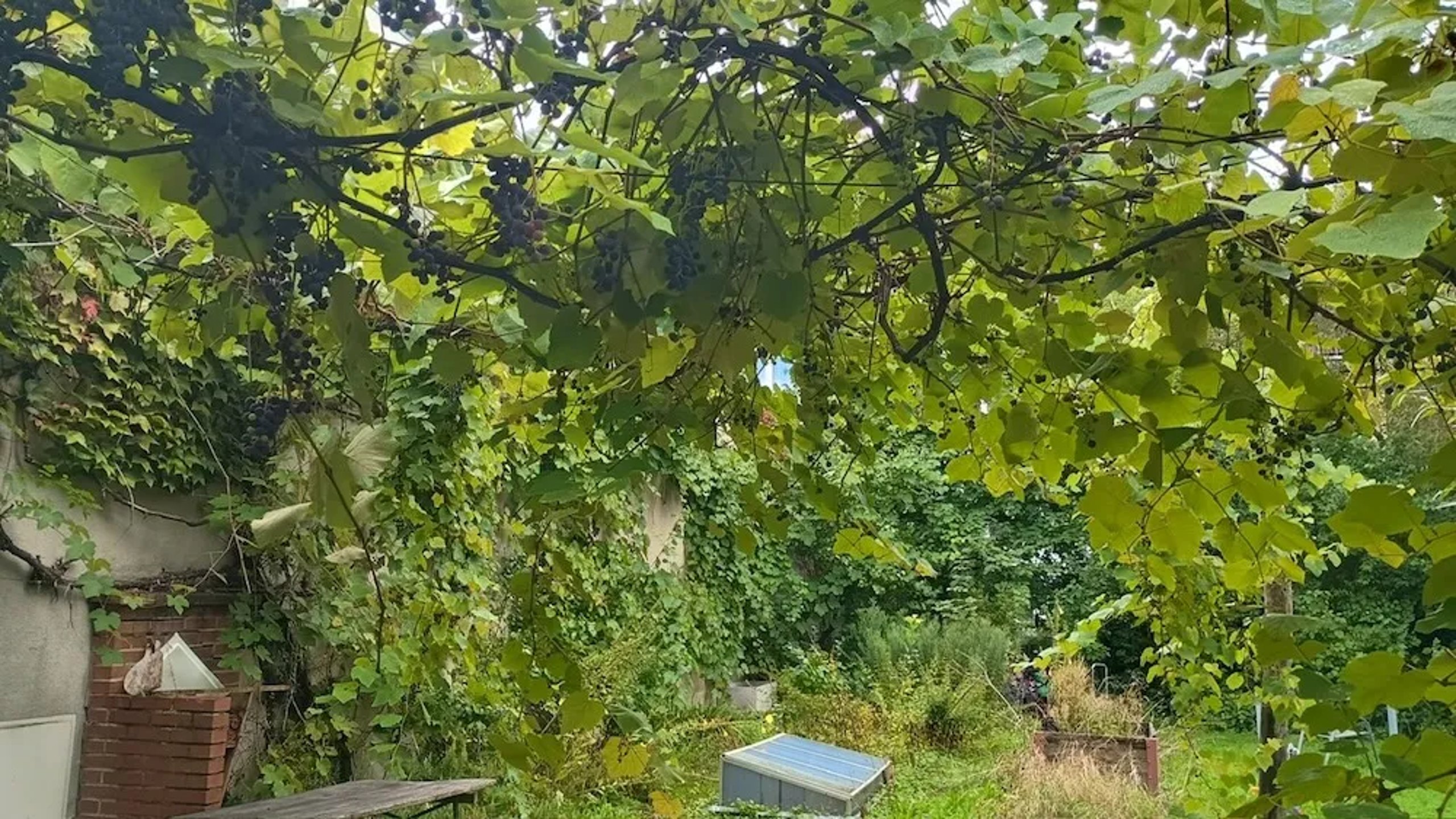 Herbststimmung im Hintergarten der Kita Wunderkiste