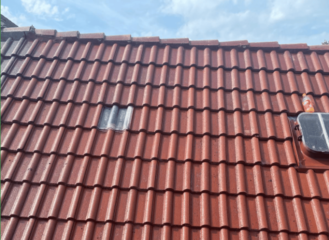 Setzlinge werden gepflanzt