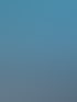 Wellen_Piehl_Alive