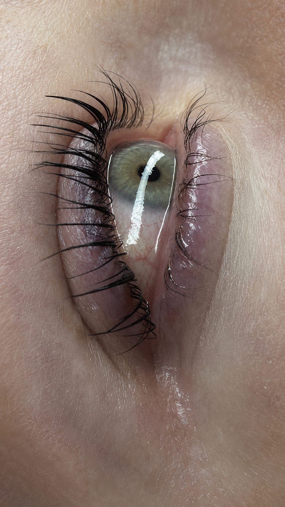 Echtes Lash & Brow Ergebnis 1