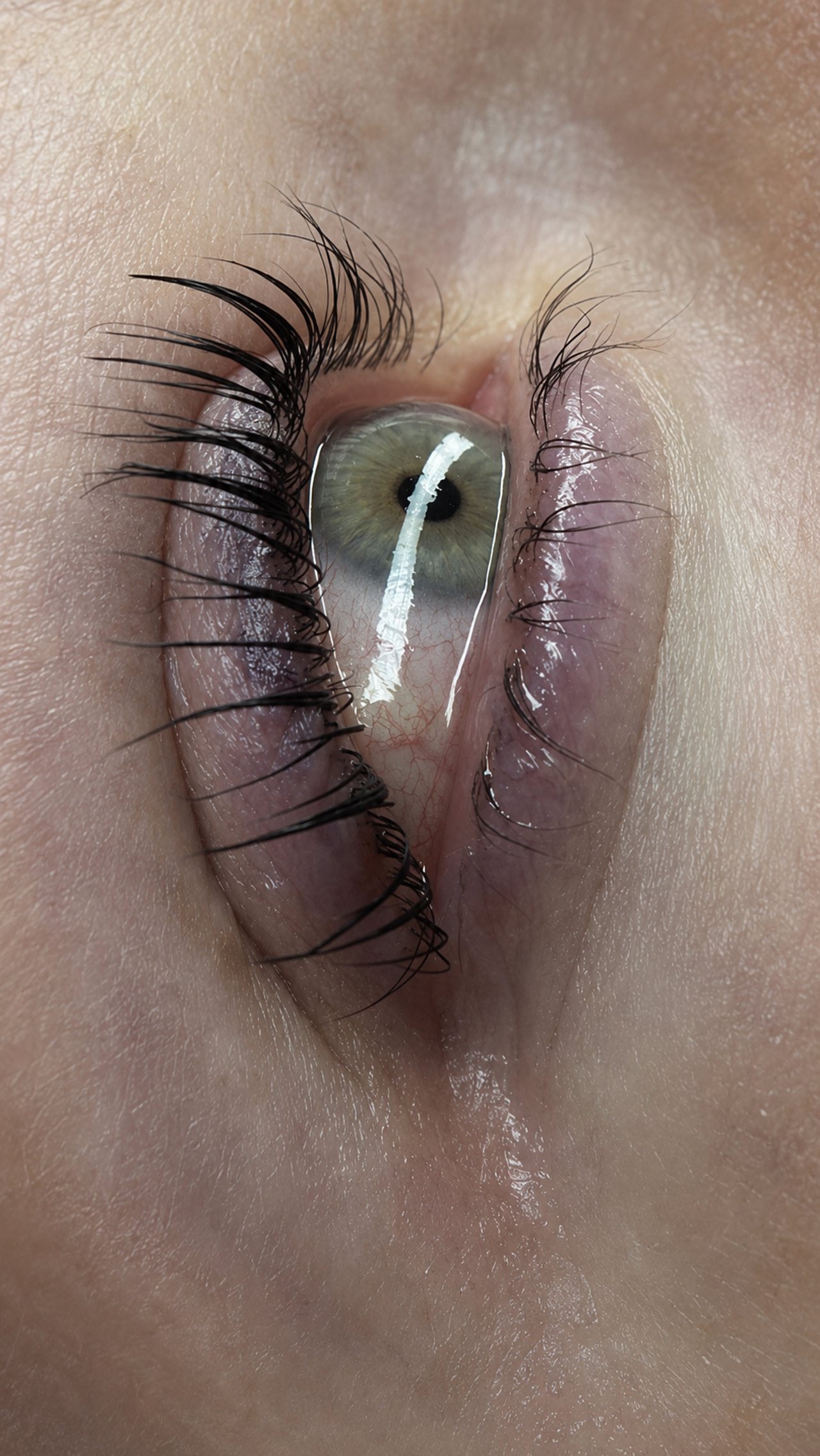 Augenpartie nach dem Lash & Brow Lifting bei SWON in Pforzheim, Aufnahme 1